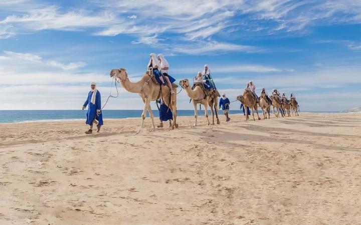 Camel Ride In Cabo San Lucas.jpg