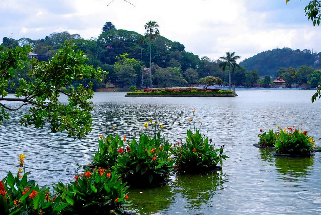 Kandy Lake , <em>Kandy</em>