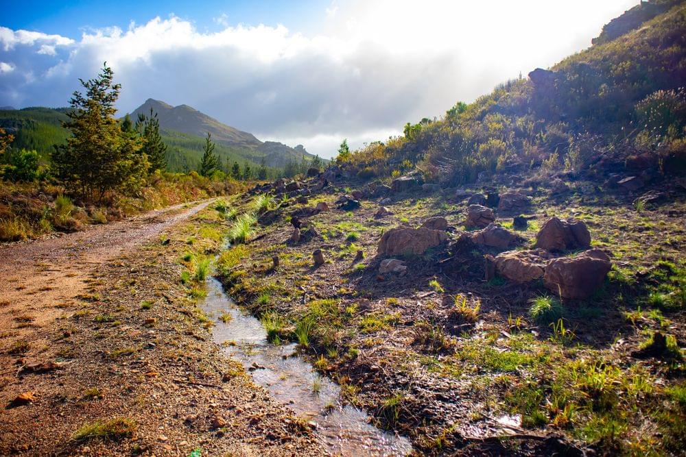 Helderberg Nature Reserve