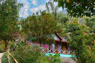 Explore the famous Orange Garden of Pelling with other attractions on a 9-hour sightseeing tour