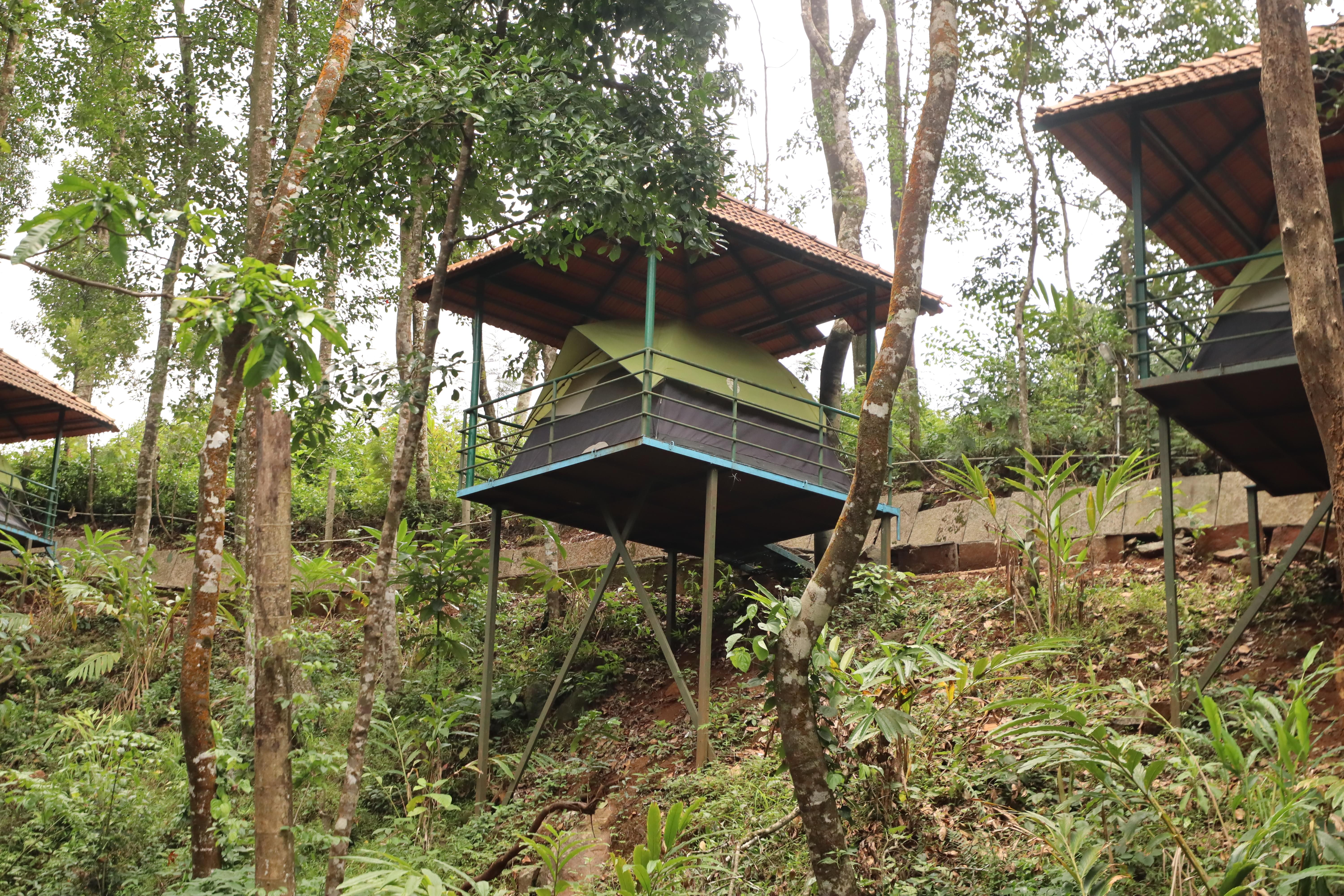 Campsite in Sakleshpur