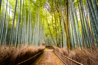 2ro7be2xg44fcsk81l3hfywvat17 28852626810 ed4f34da32 h