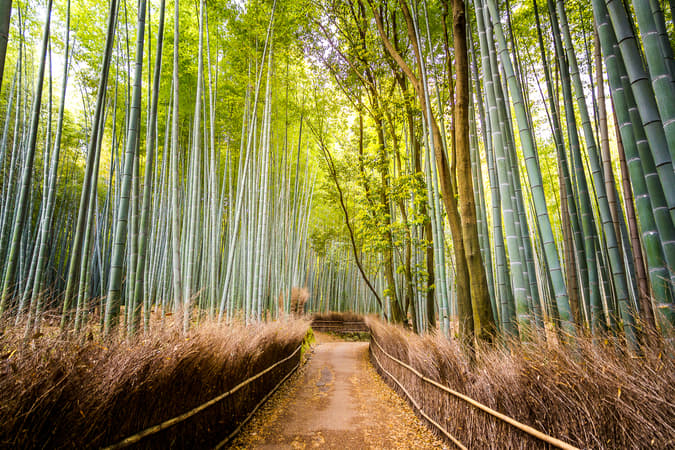 Arashiyama