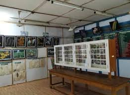 Explore the Orchid Museum