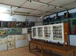 Explore the Orchid Museum