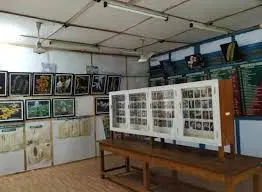 Explore the Orchid Museum