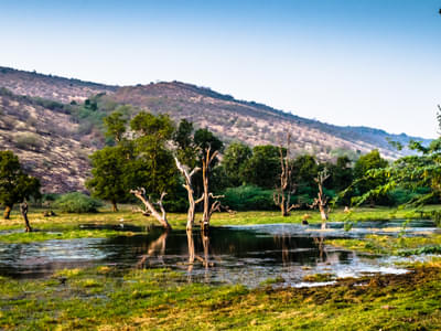 Delhi Agra Ranthambore Tour Package Day 3