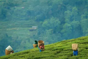 best tourist state in north east india 2t7h6v6ecdva02hvwaa44p0ws9yy h17jfyvmmbmv64g6neiipuz7i2zd sikkim2