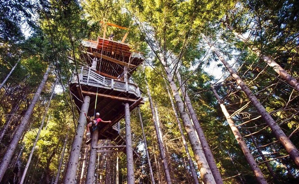 Queenstown Zipline