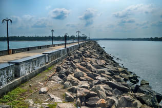 2tbkjeqahsc7i1ht87ftrrdxcr8w 1584443091 shutterstock 1435182341