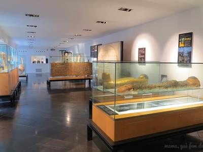 Egyptian Museum of Barcelona Tickets