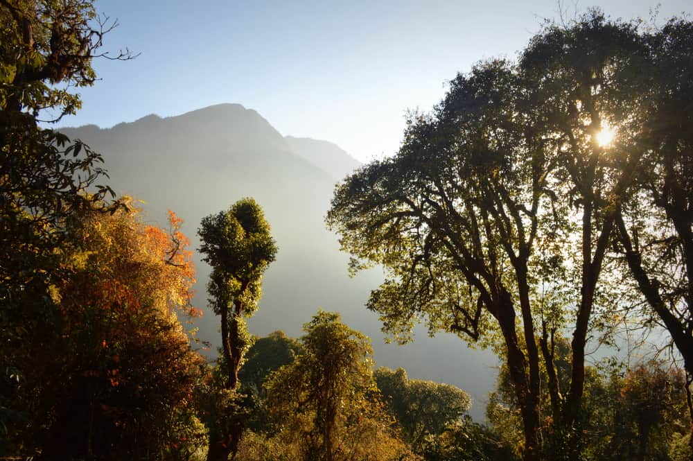 Kanchenjunga National Park