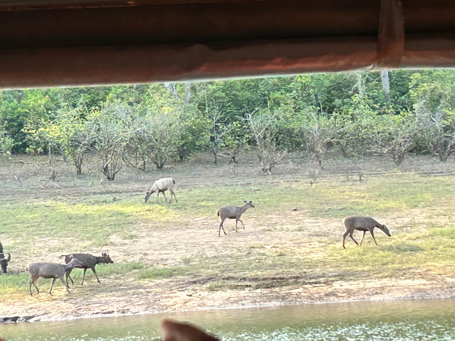 Photo from Neha Yogesh Shetty's trip
