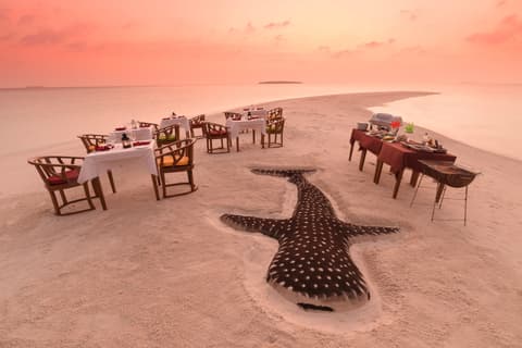 Activity & SightSeeing Image