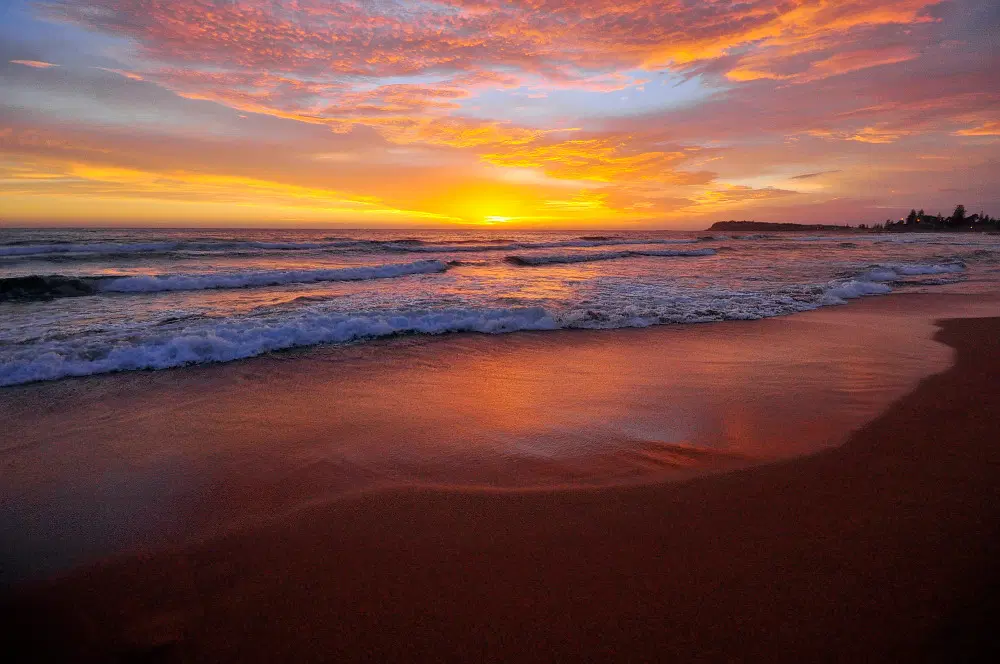 Collaroy Beach