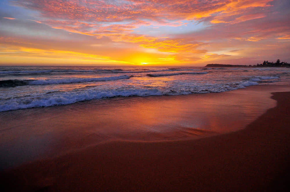 Collaroy Beach, <em>Sydney</em>