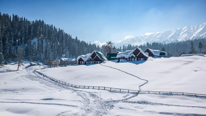 Enjoy Winter Activities