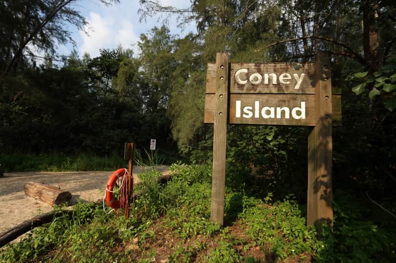 Click Pictures at Coney Island Gate
