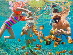 Snorkel and explore the vibrant underwater world