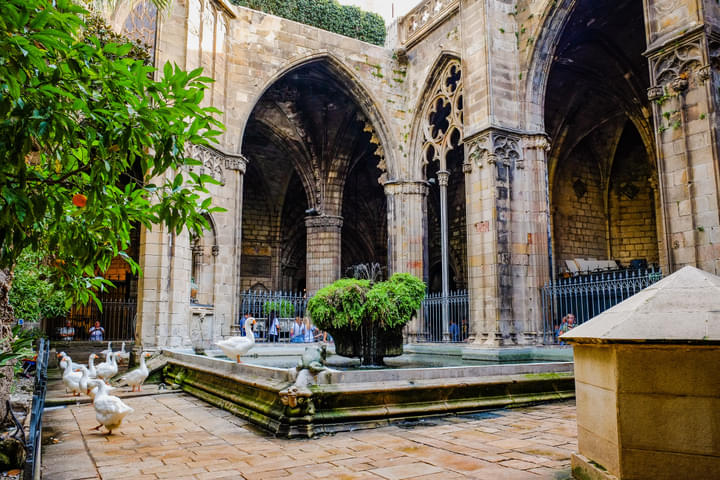 The Cloister at Cathedral of Barcelona