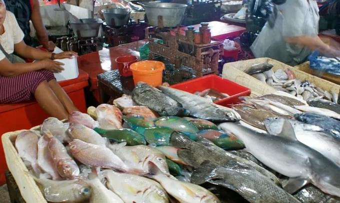 kedonganan fish market