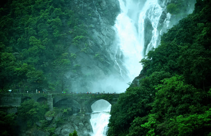 Dudhsagar Trek from Bangalore
