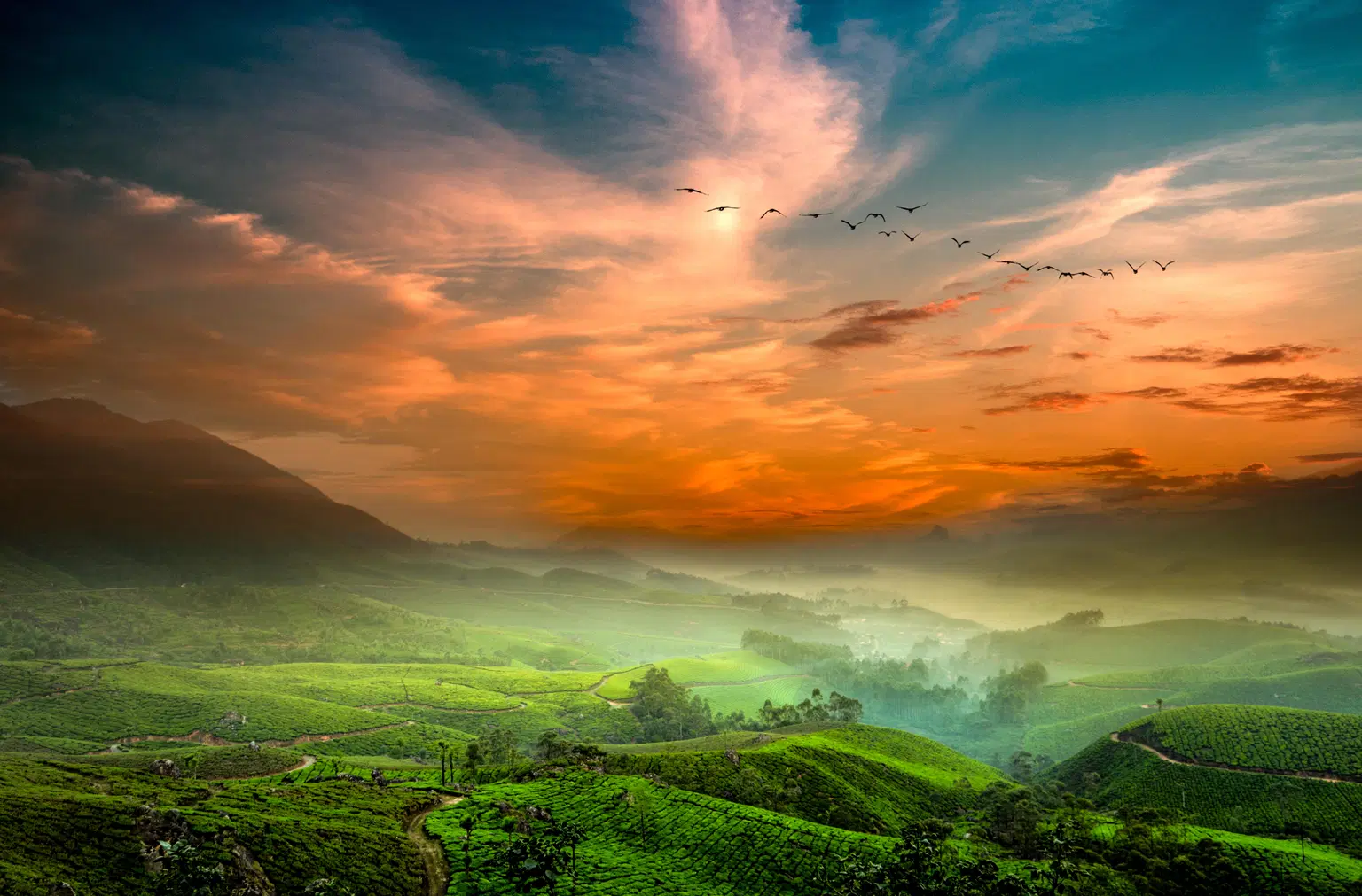 Economical South India Tour Packages