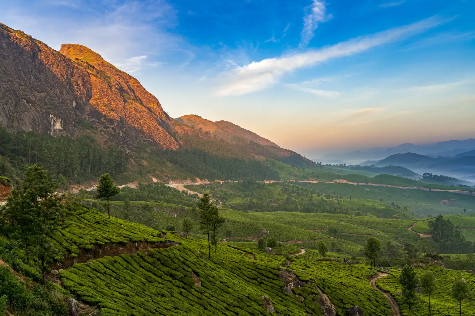 Munnar Weekend Getaway from Chennai | Lush Hills & Tea Gardens