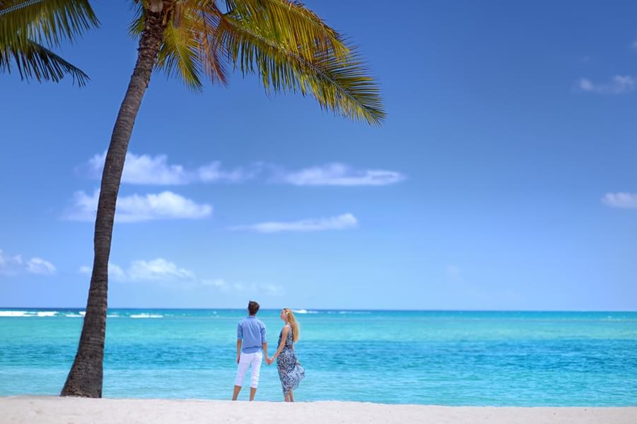Mauritius Honeymoon Package From India Image