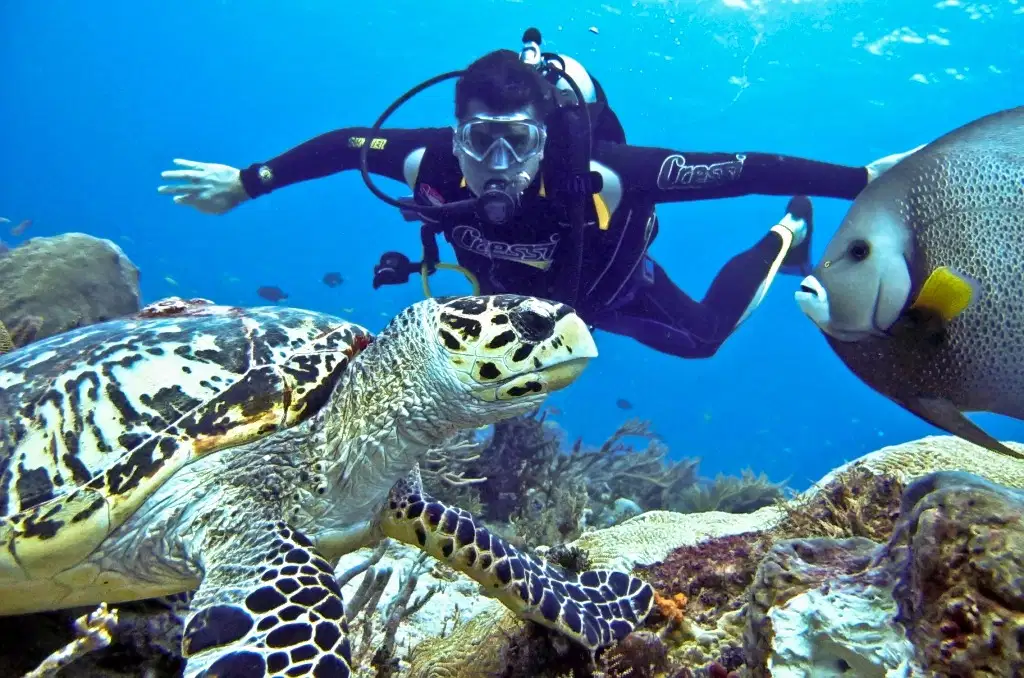 Discovery Scuba Diving in East Bali