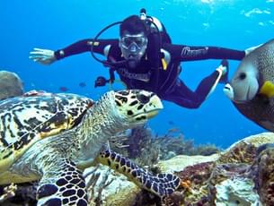Discovery Scuba Diving in East Bali