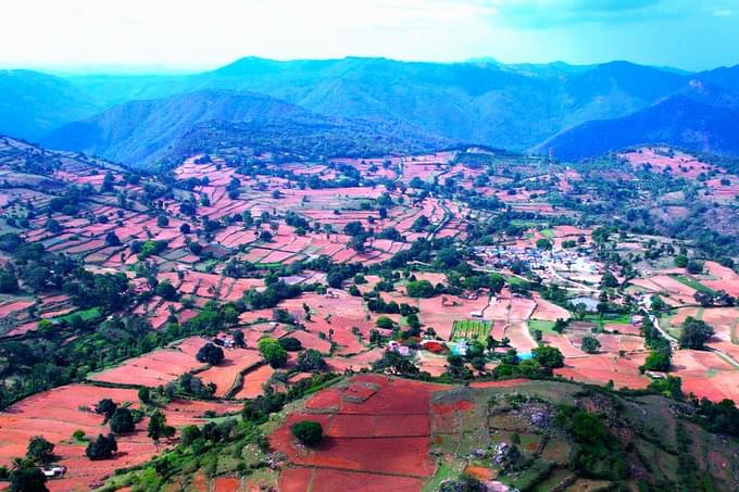 Enjoy panoramic views of Eastern Ghats from Melagiri’s highest peak