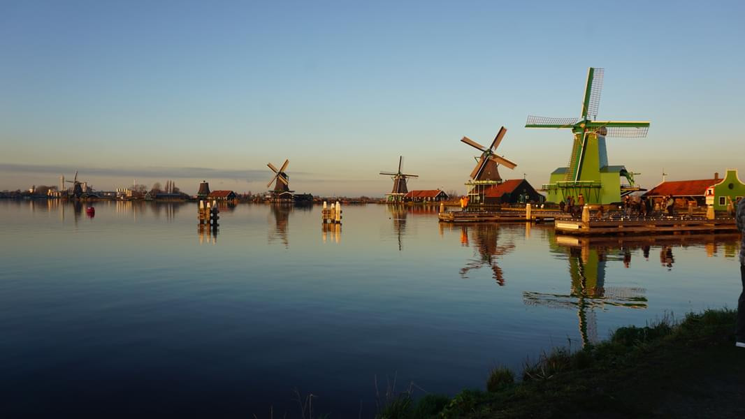 What to Expect at Keukenhof and Windmill Tour