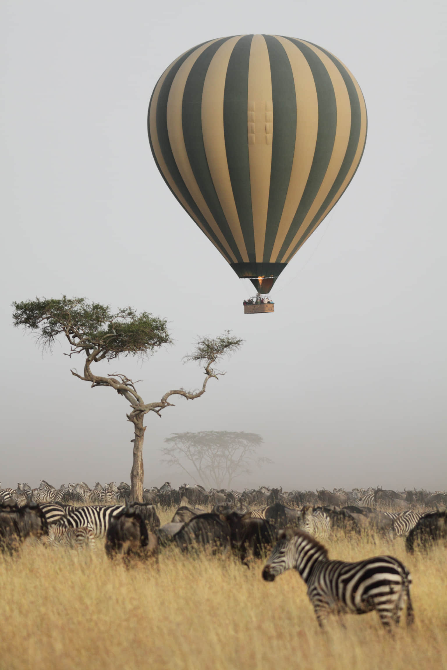 <em>Kenya</em> Tour Packages From Indore