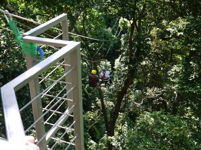 Zipline Gold Coast