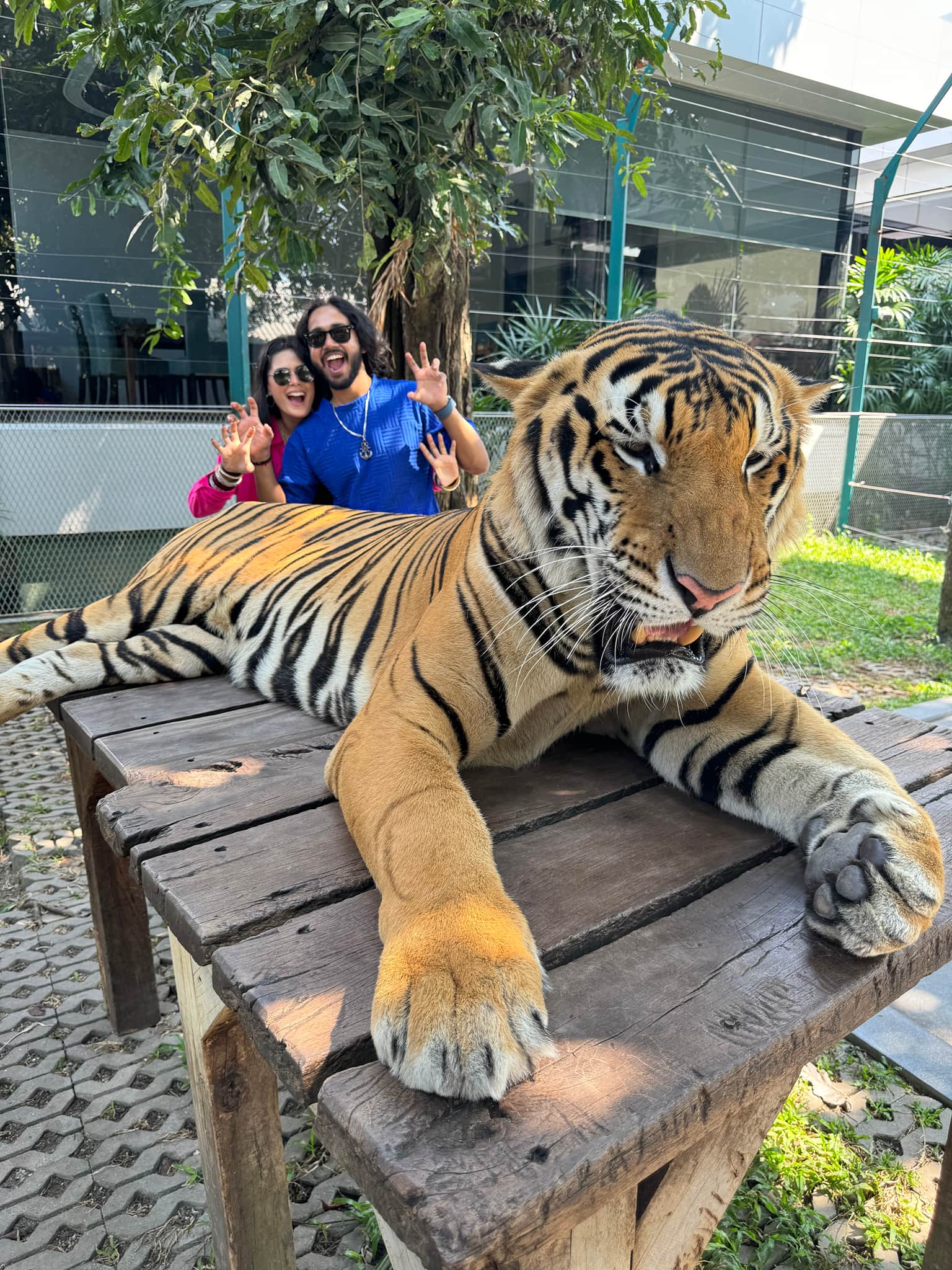 Photo from Anish Ranjan's trip
