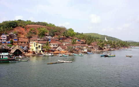 Scuba Diving in Malvan