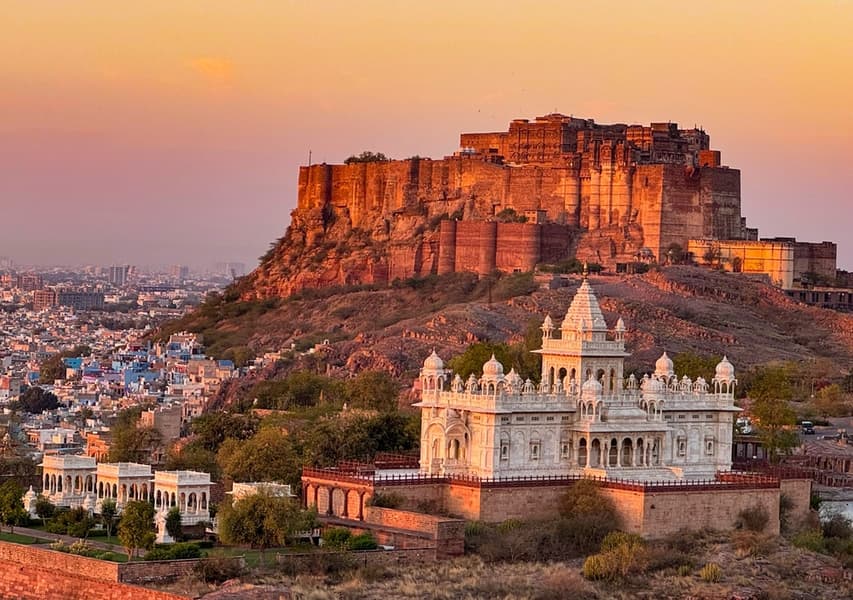 Flying Fox Jodhpur​ Image