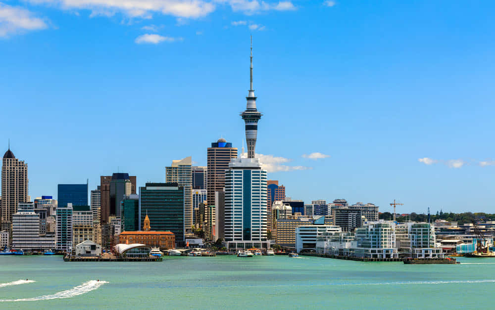 8 Days New Zealand Tour Package North Island Exclusive