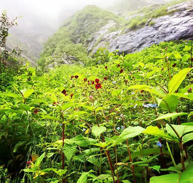 Photo from Kshitiz Jain's trip