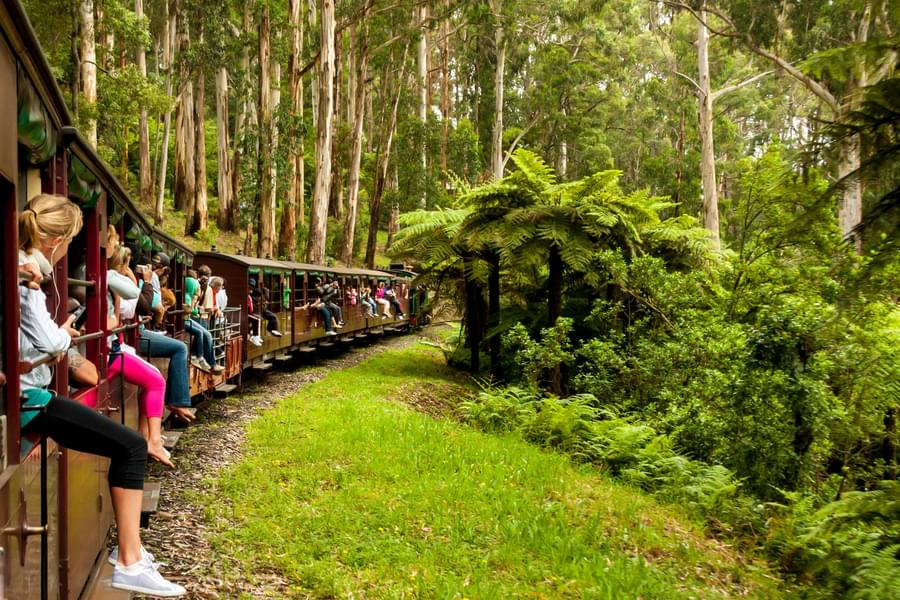 Ride The Puffing Billy Steam Train