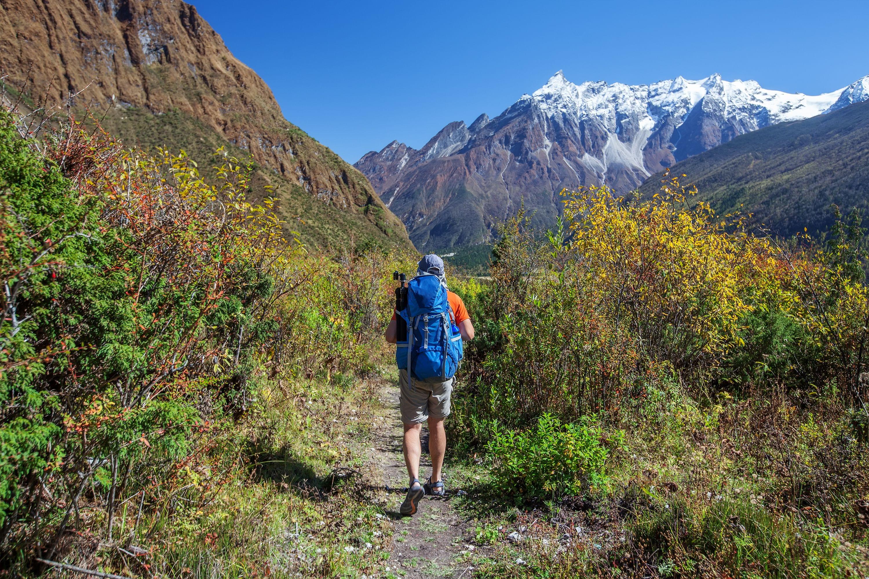 Yamunotri trek