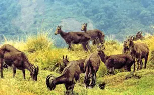 2zfprxbnhjw10jqycdpxwx4jk5rp 36