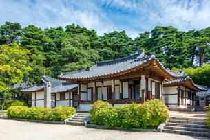 Gangneong Sightseeing Tour