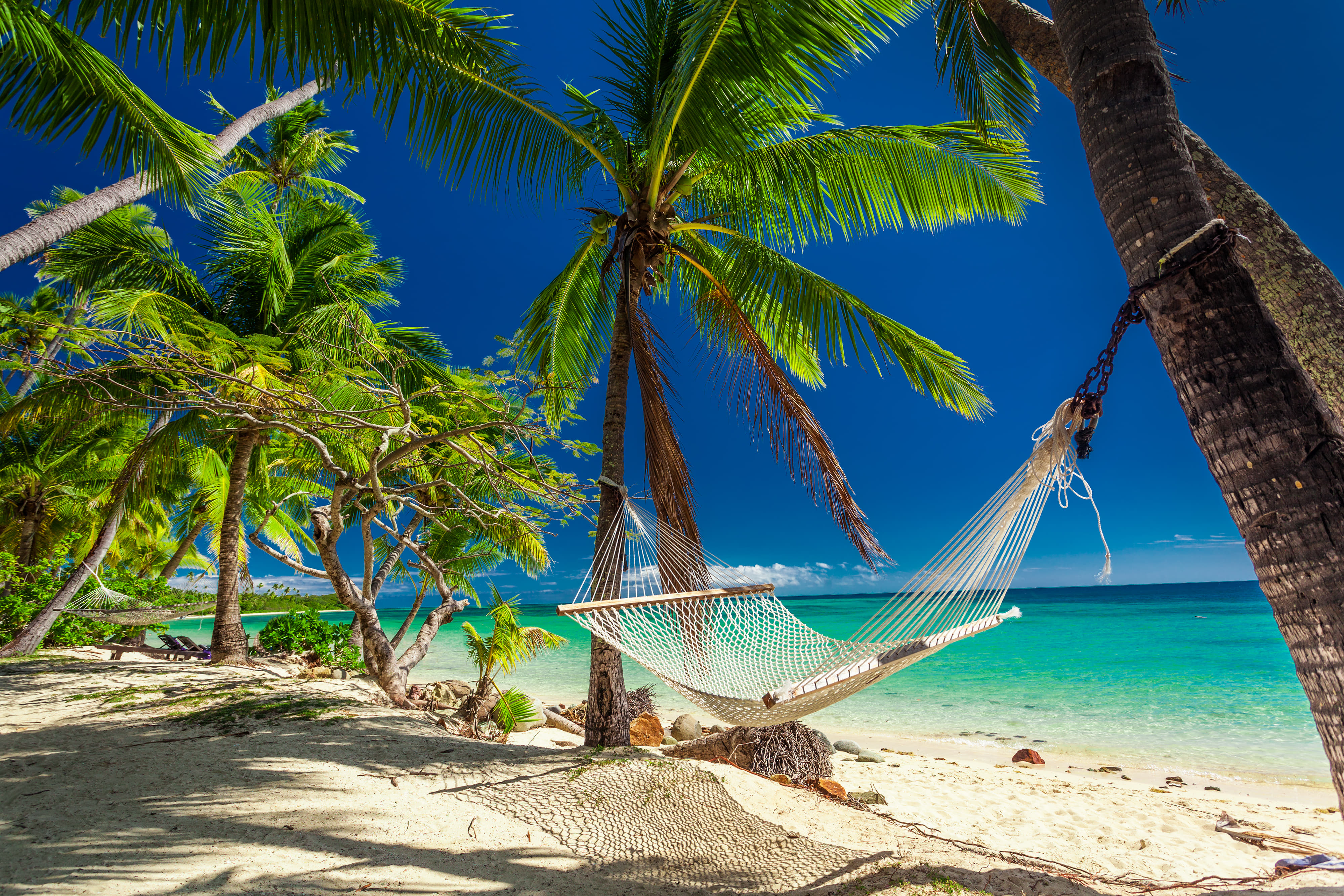 New Zealand and Fiji Honeymoon Package From India