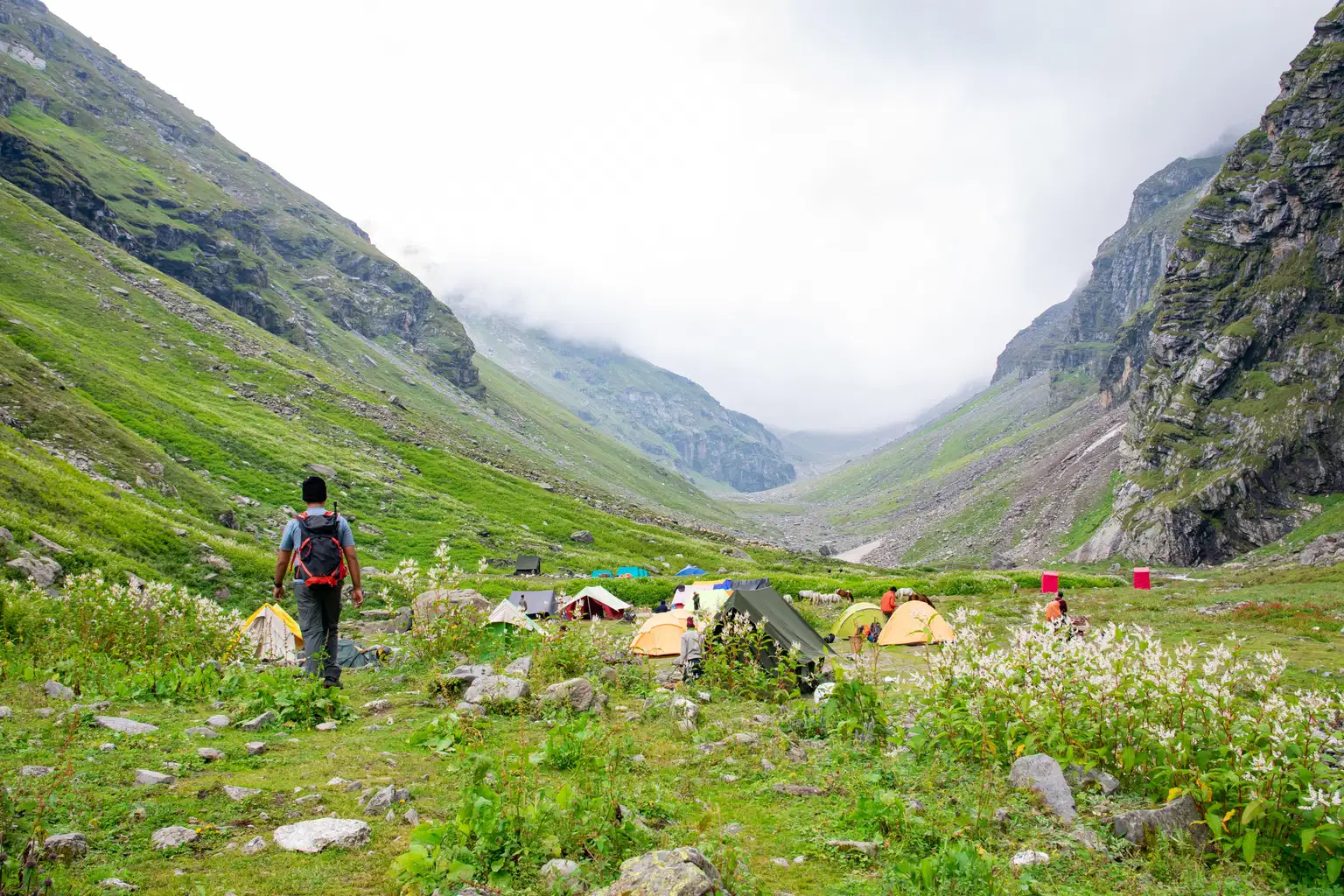 Gorson Bugyal Trek with Camping Book