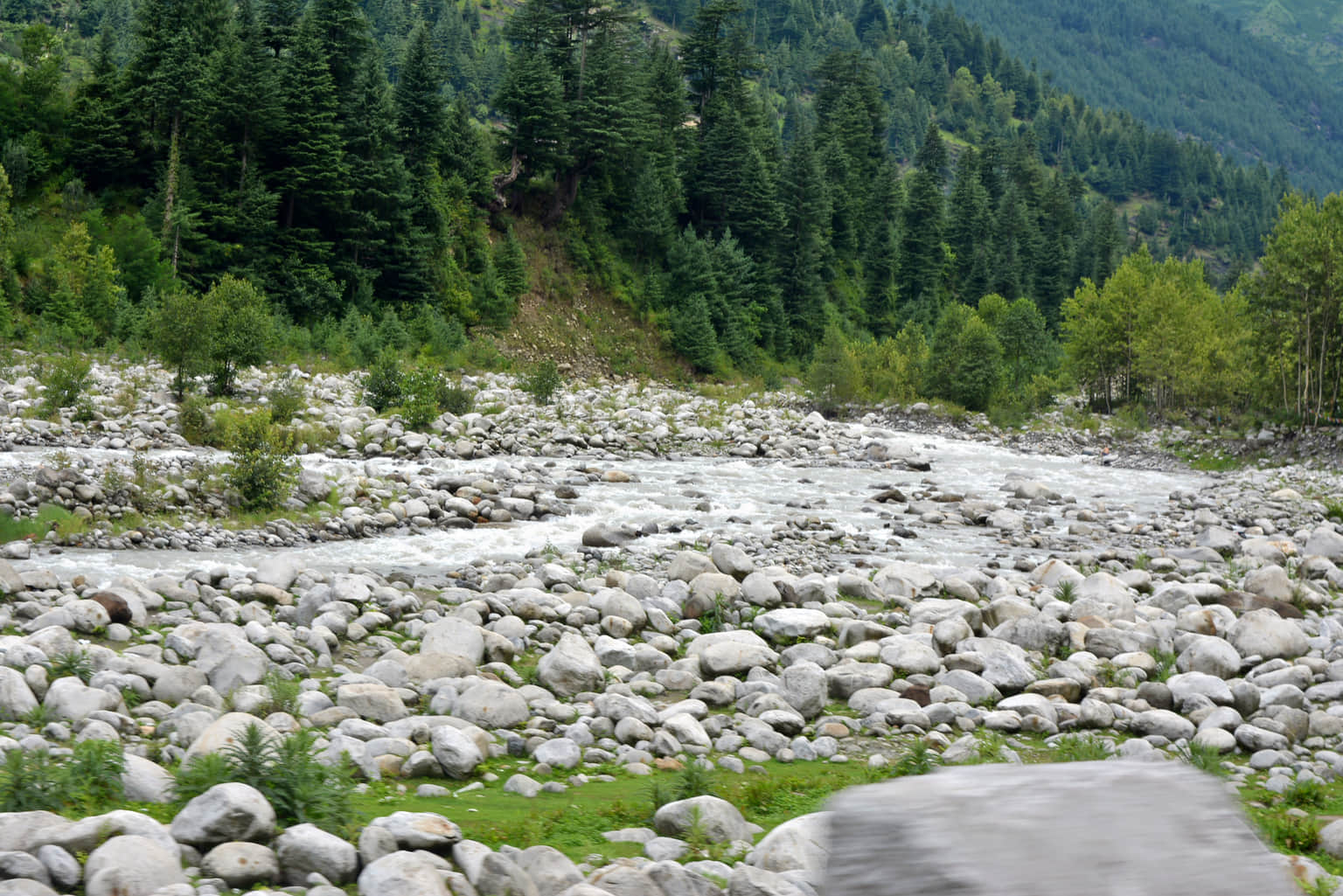 Photo from Sarla Iyer's trip