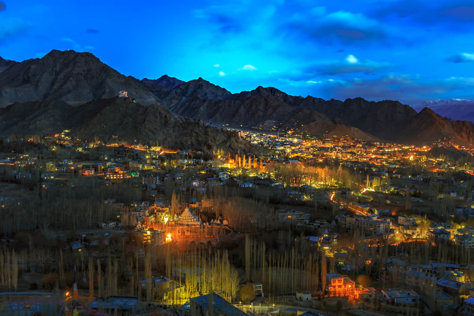 Camping in Leh