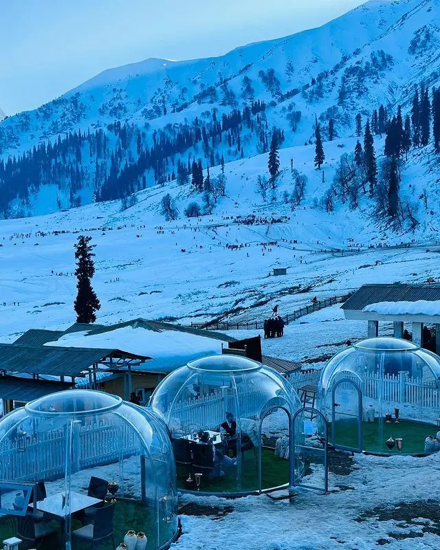 Igloo Cafe