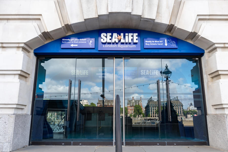 See Marine Species At SEA LIFE London